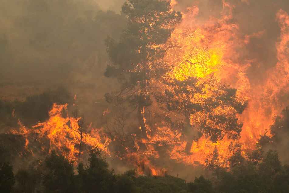 Flammen lodern bei einem Waldbrand nördlich von Athen - starke Winde fachen die Feuer in Griechenland immer wieder an.