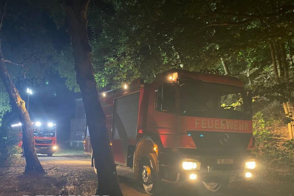Berlin: Schon wieder Feuer im Grunewald: Polizei ermittelt wegen Brandstiftung