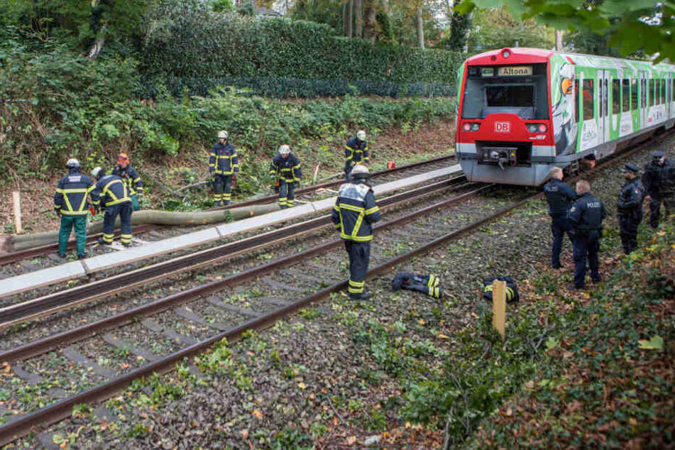 Die Feuerwehrkräfte befreiten die Bahnstrecke von dem umgestürzten Ast.