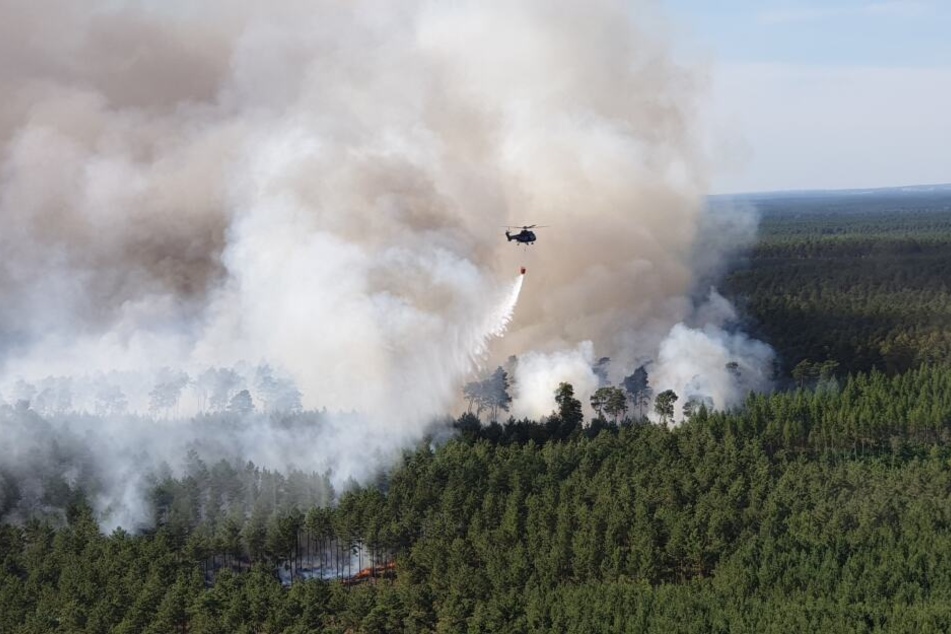 Mittlerweile brennen 100 Hektar Waldfläche.