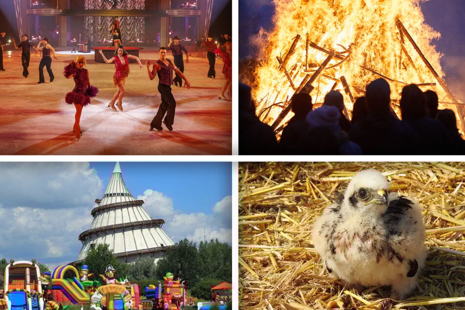 Für die ganze Familie: Diese Events finden an Ostern in Magdeburg statt