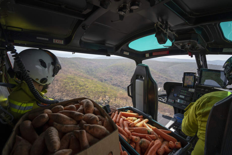 Helfer werfen Gemüse aus einem Hubschrauber ab.