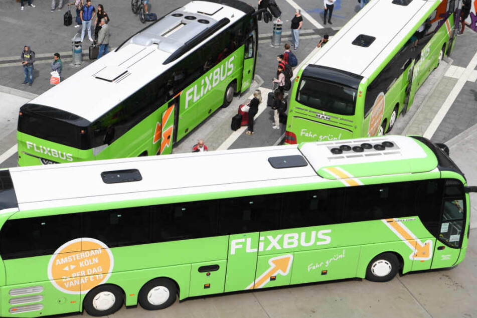 Flixbus übernimmt Konkurrenten und baut sein Geschäft aus. (Symbolbild)