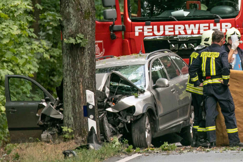 Der PKW krachte frontal gegen einen Baum.
