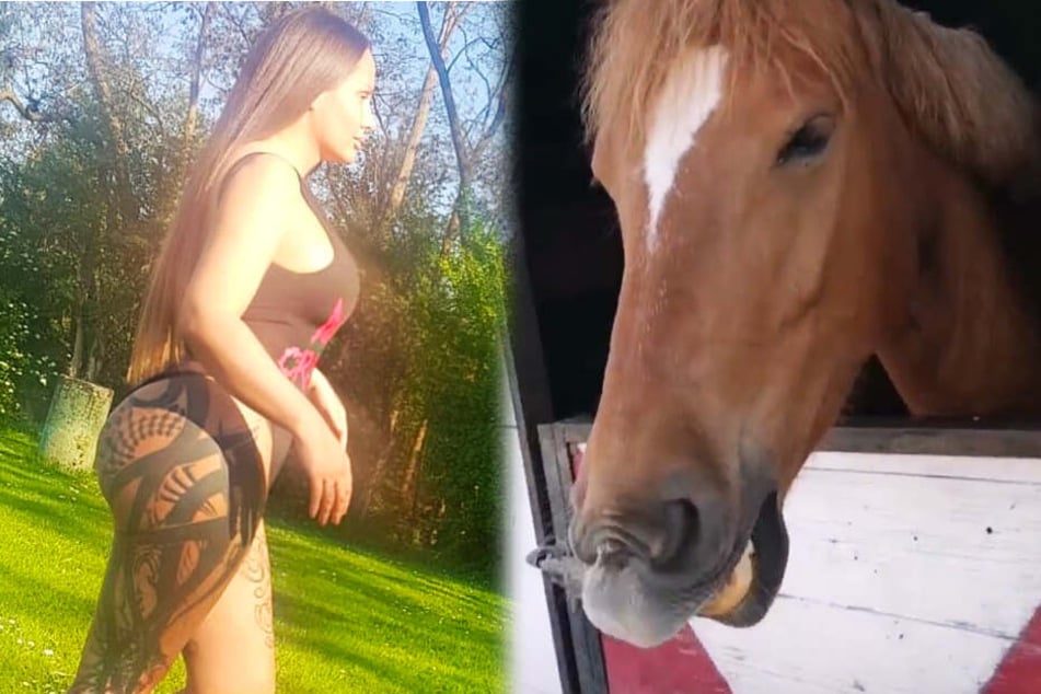Frau sex pferd