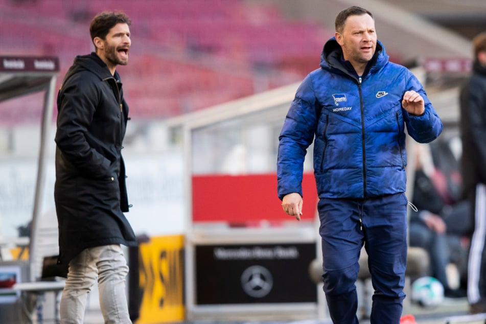 Haben Hertha BSC bereits einmal retten können: Ex-Sportdirektor Arne Friedrich (43, l.) und Pal Dardai (47).