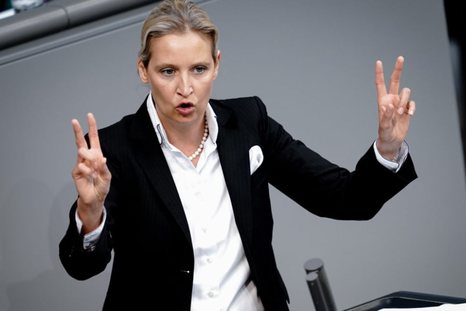 Die AfD-Fraktionsvorsitzende Alice Weidel (42) hat keine allzu hohe Meinung von Bundeskanzlerin Merkel.