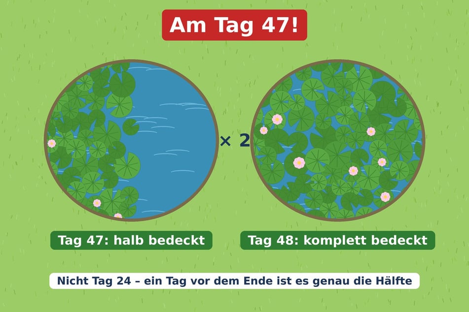 Auflösung zum Rätsel des Tages vom 15.10.2026: An Tag 47 war der Teich halb bedeckt, an Tag 48 komplett.