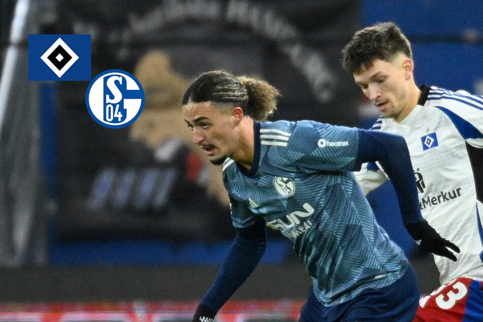 Gänsehaut schon vor dem Anpfiff! HSV verspielt klare Führung gegen Schalke 04