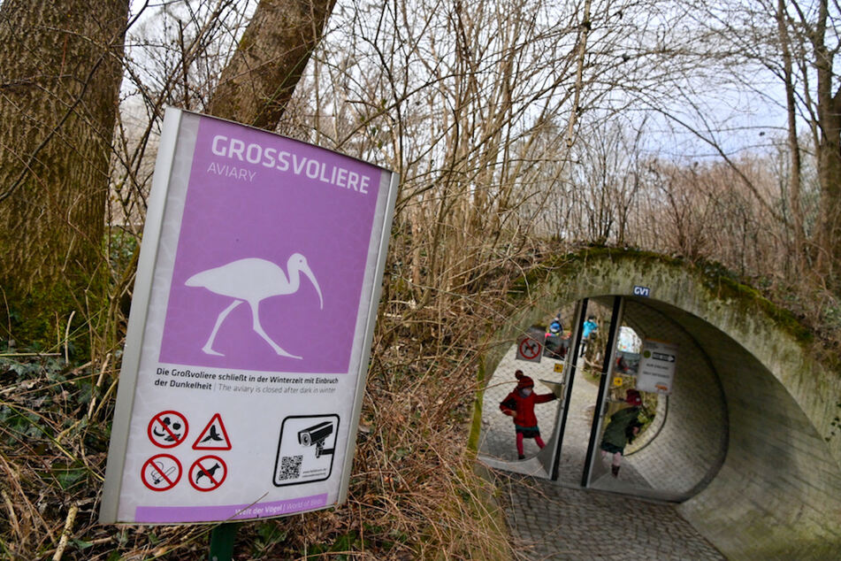 Die Großvoliere im Tierpark Hellabrunn wird nun für Besucher geschlossen.