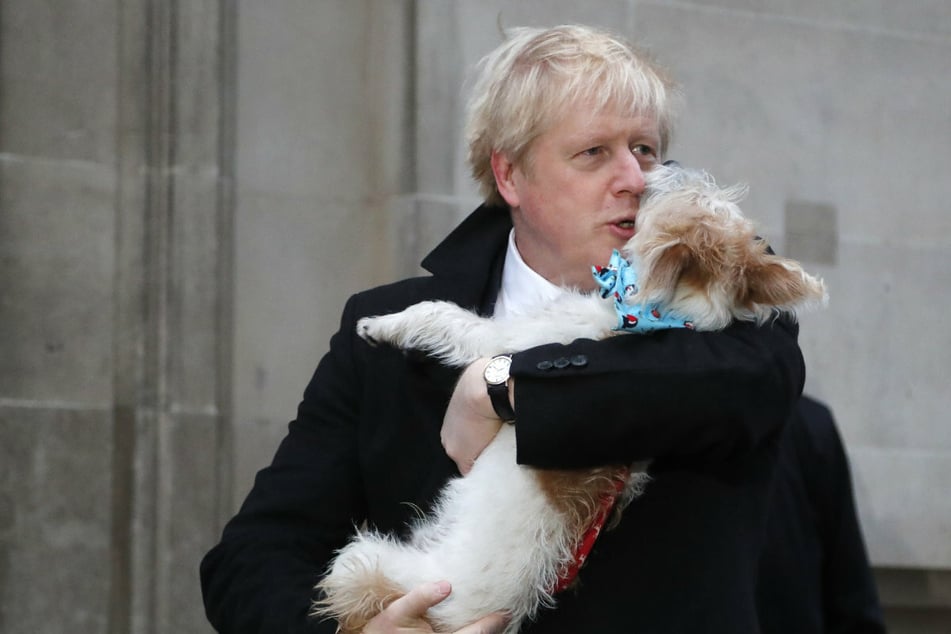 Peinliche Situationen für Premier Johnson: "Mein Hund ist ausdauernd ... an den Beinen von Menschen"