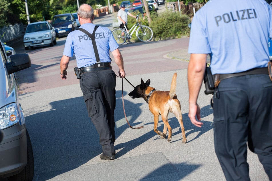 Ein Team mit Fährtenspürhund wurde bei der Suche hinzugezogen. (Symbolbild)