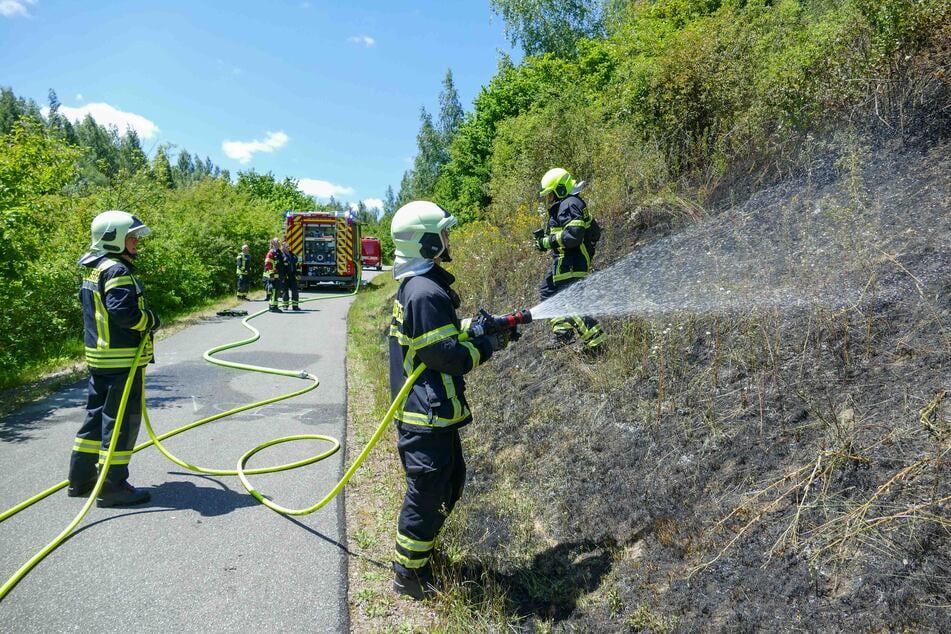 Im Einsatz waren die Feuerwehren aus Richzenhain und Waldhain.