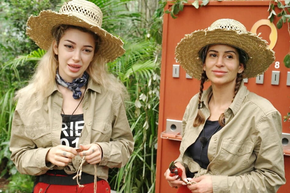 Zuvor war die gemeinsame Prüfung durch Zickenkrieg auf die Probe gestellt worden.