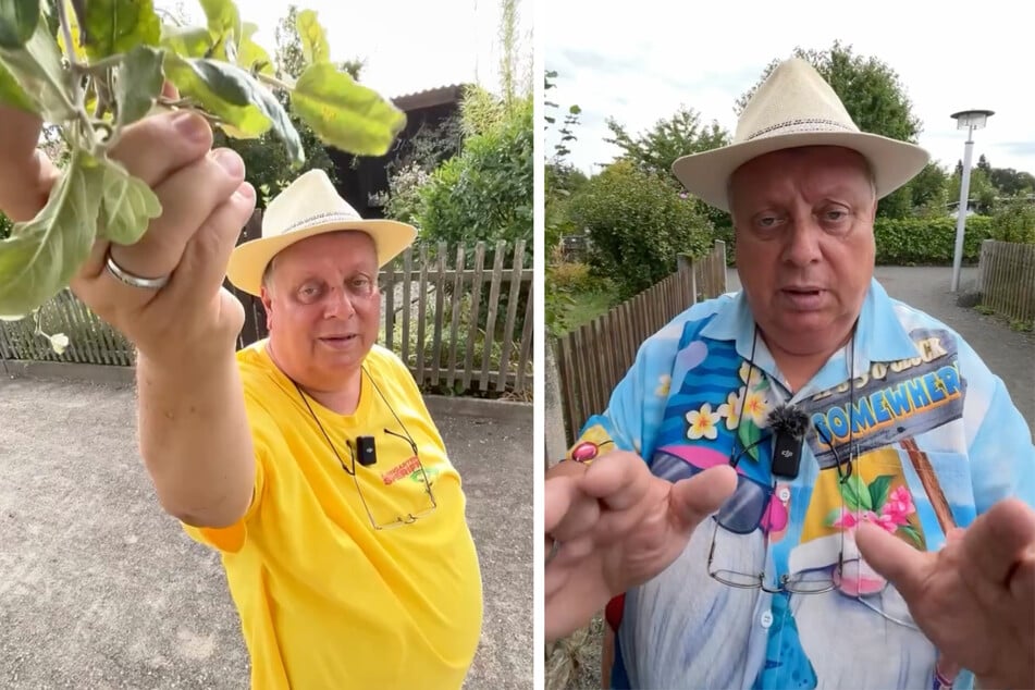Äpfel pflücken ohne Konsequenzen? Der Kleingartensheriff gesteht seinen Fehler.