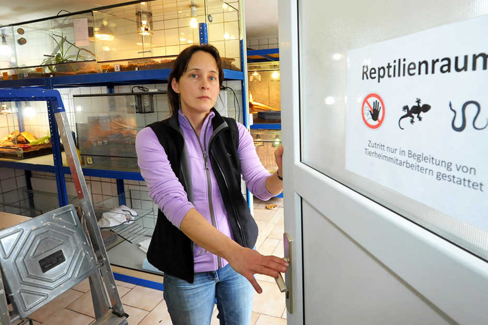 Tierheimchefin Dr. Claudia Ruf (45) befürchtet, Mitarbeiter entlassen zu müssen, sollte die Stadt Zwickau den Fundtiervertrag nicht fortführen.