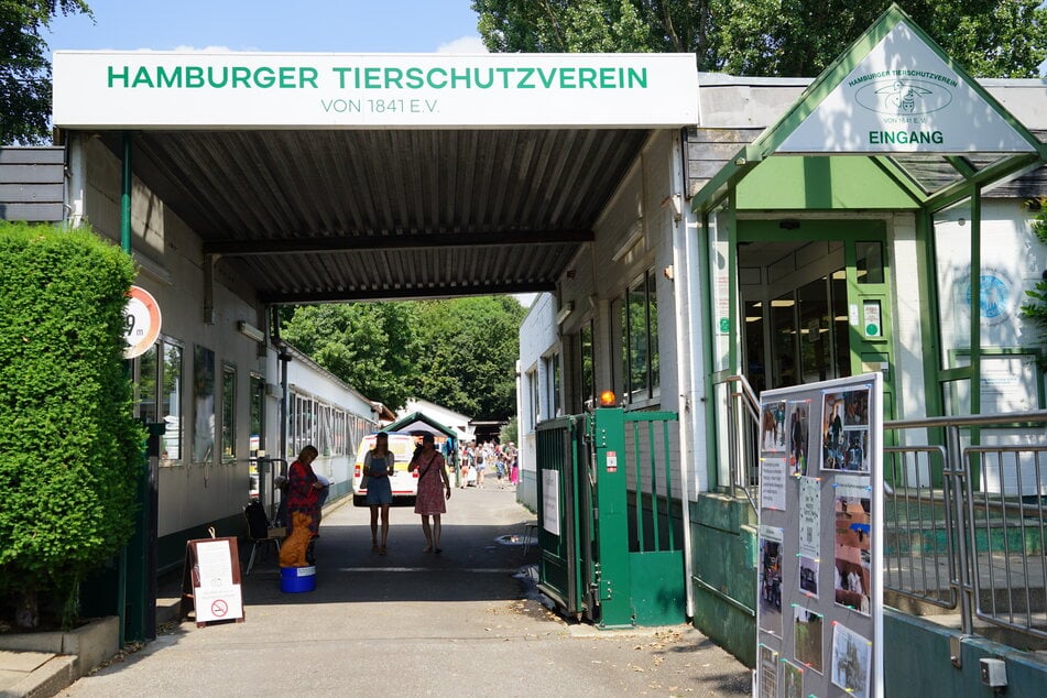 Der Hamburger Tierschutzverein wurde bereits 1841 gegründet und veranstaltet seit mehreren Jahrzehnten jährlich das Tierschutzfest.