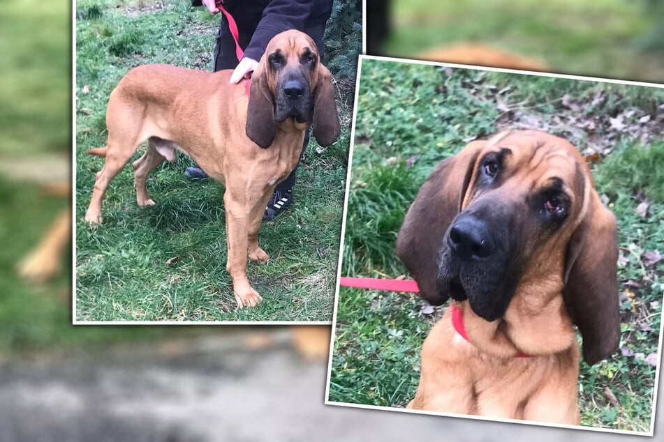 Nach Tumor-OP: Johnny will zurück ins Leben starten
