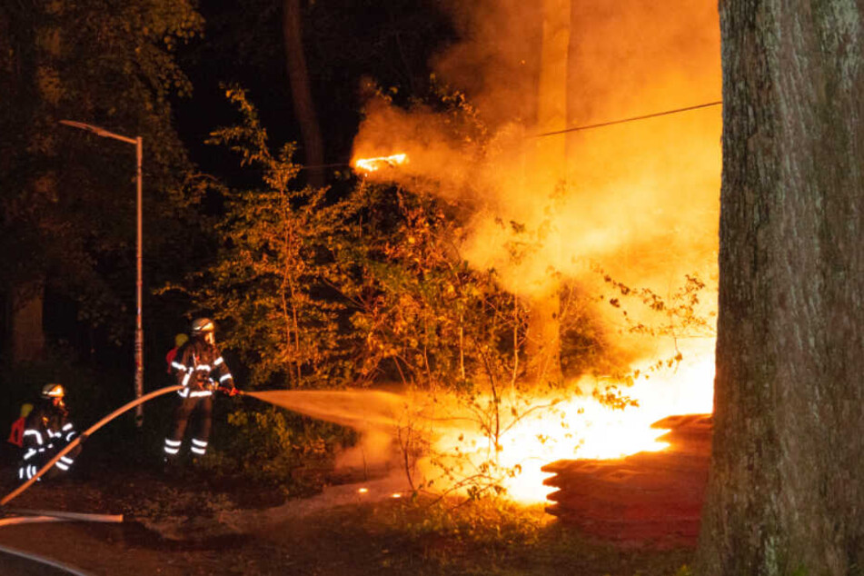 Die Feuerwehr löschte den Brand, konnte aber nicht verhindern, dass eine Stromleitung Feuer fing.