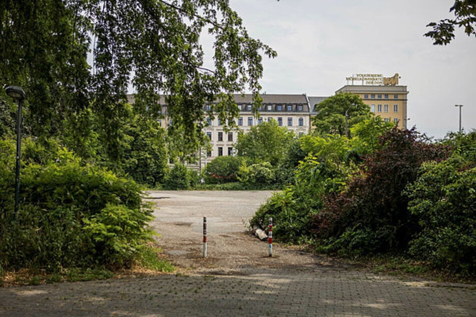 In den kommenden Jahren soll sich der Platz grundlegend verändern. Auch viele Bäume und Sträucher sollen weichen.