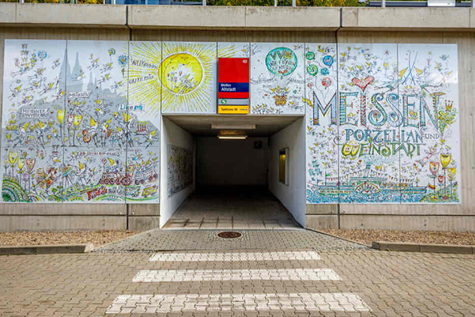 Auf 53 Quadratmetern flattern neuerdings Vögel am Haltepunkt Meißen-Altstadt.
