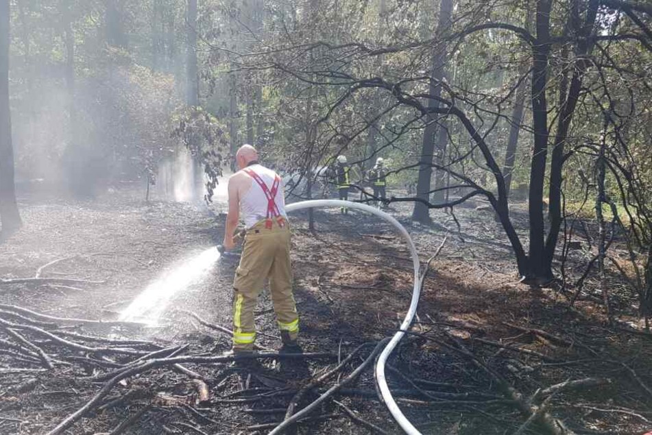 Feuerwehrmänner löschen den Brand im Thümmlitzwald. Hier war am Mittwochnachmittag aus unbekannter Ursache ein Feuer ausgebrochen.