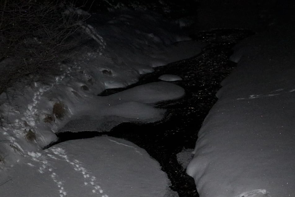 Durch die Kälte ist der Bach "Schwarze Pockau" zugefroren.