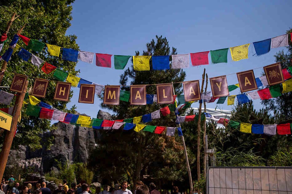 Ganz wie im echten Himalaya: Tibetische Gebetsflaggen säumen die Anlage.