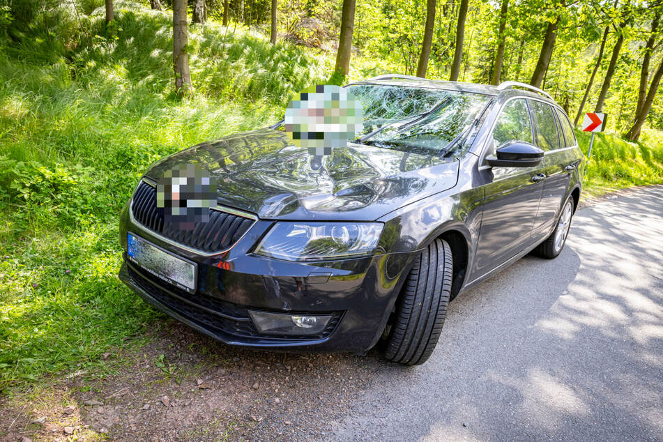 Spuren des heftigen Aufpralls sind an der Front, der Motorhaube sowie der Scheibe des Škoda Octavias zu erkennen.