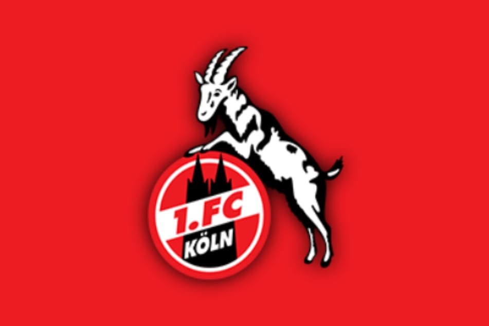 Hier gibt's alle News rund um den 1. FC Köln. 