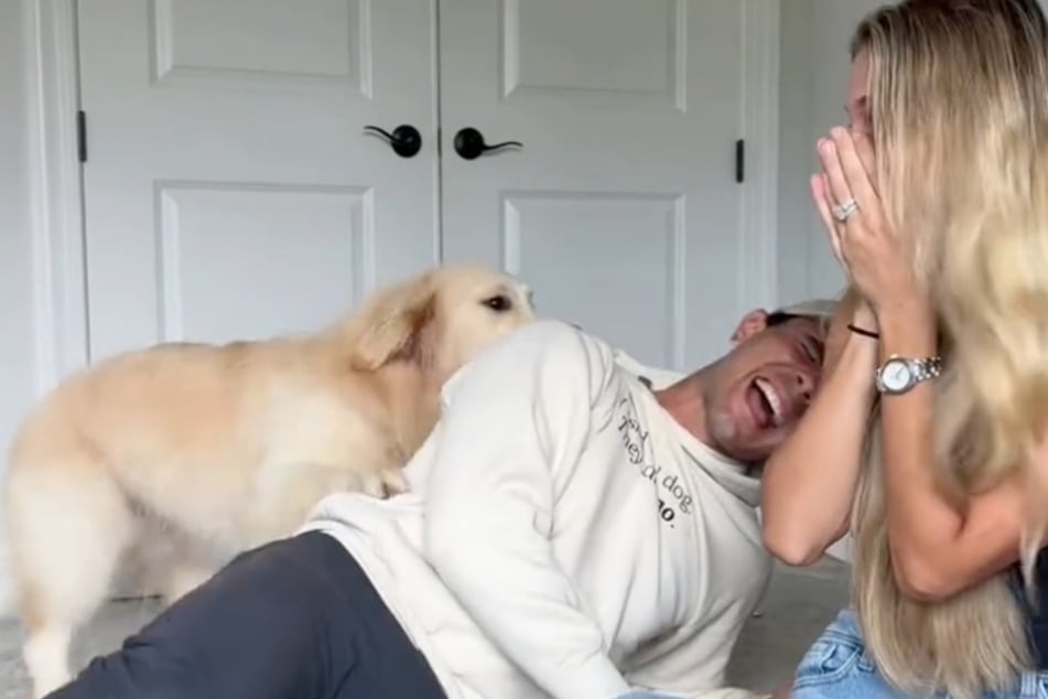 Emma Moriarty hält sich die Hände vors Gesicht, als Golden Retriever Bauer ihren Mann attackiert.