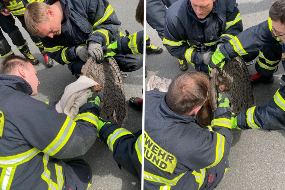 Mit vereinten Kräften retteten die Einsatzkräfte dem kleinen Tierchen das Leben.