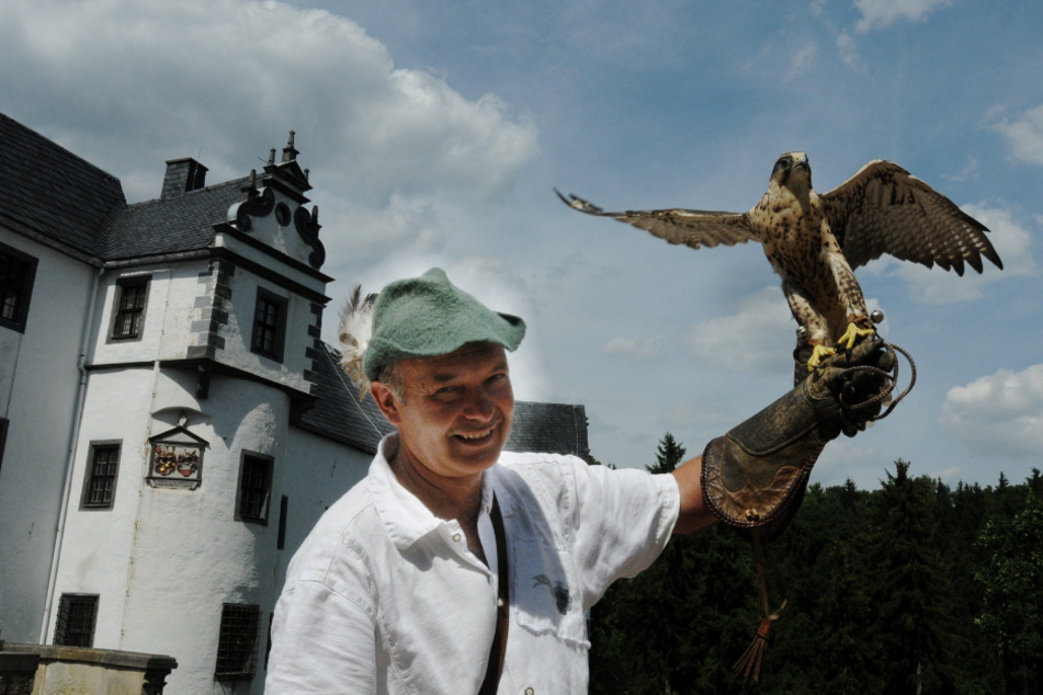 Auf Schloss Lauenstein können die Greifvögel bis zu 28 Jahre alt werden, in freier Natur erreichen sie selten das zwölfte Lebensjahr.