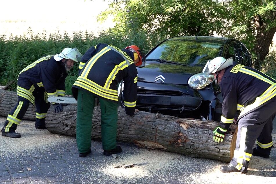 Zur Bergung musste die Feuerwehr den Baum auseinander sägen.