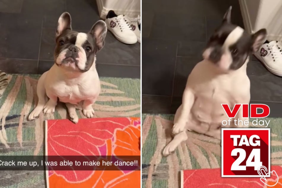 This pup just unlocked a whole new level of talent!