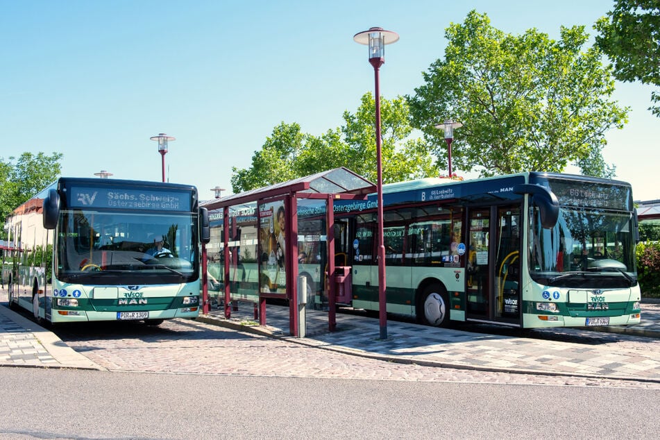 Lust mit einem dieser modernen Busse im Landkreis Sächsische Schweiz-Osterzgebirge durch die Straßen zu cruisen?