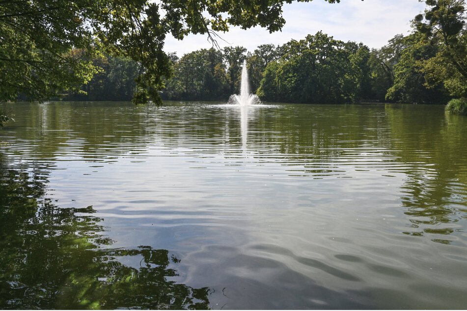 Die Fontäne im Carolateich sprudelt wieder länger und soll die Wasserqualität positiv beeinflussen, indem der Sauerstoff auch in tiefere Schichten verteilt wird.
