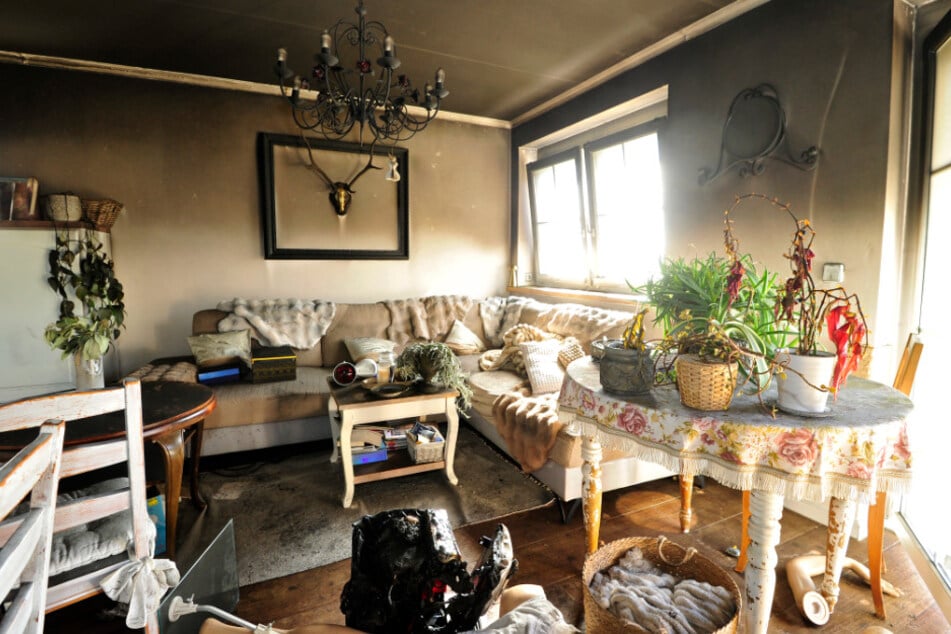 Das Wohnzimmer ist verrußt. Auf der Couch spielten Arianes Katzen.