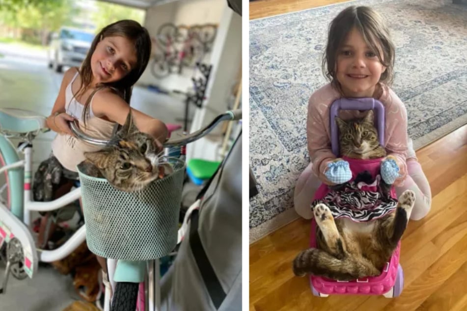 After a mom surprised her kids with two kittens, it took the little ones some time to warm up to them – until they came up with a clever solution!