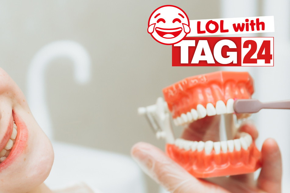 Today's Joke of the Day might cause a toothy grin!
