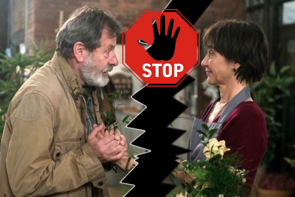 Rote Rosen: Keine Küsse, keine Umarmungen, keine Bett-Szenen mehr?
