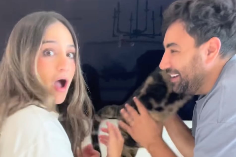 Kater Chase hat eigentlich Fifi als Erste angesehen. Doch Kareem spielt falsch und fordert den Stubentiger auf, zu ihm zu kommen.