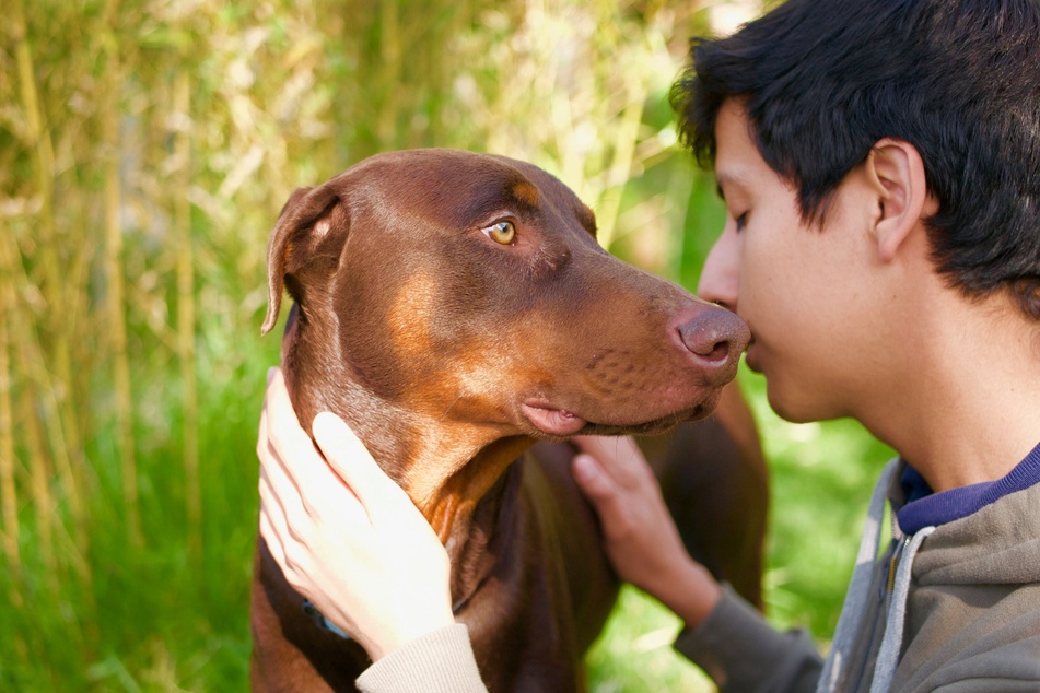 Schenke Deinem Hund ausreichend Zeit und Zuneigung, damit er sich geliebt fühlt.
