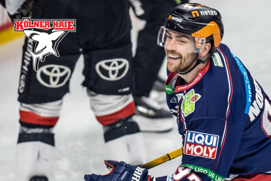 Nächster Transfer perfekt: Kölner Haie schnappen sich Stürmer aus Berlin