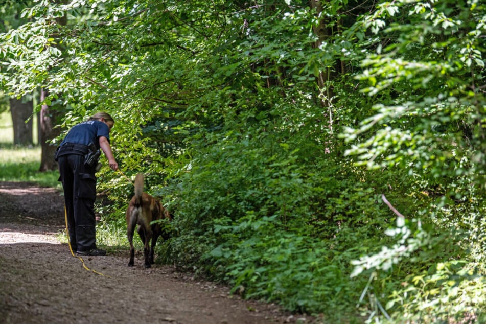 Eine Polizistin sucht mit Hilfe eines Suchhundes am Rande eines Waldstückes nach Hinweisen nach der Tat. (Archiv)