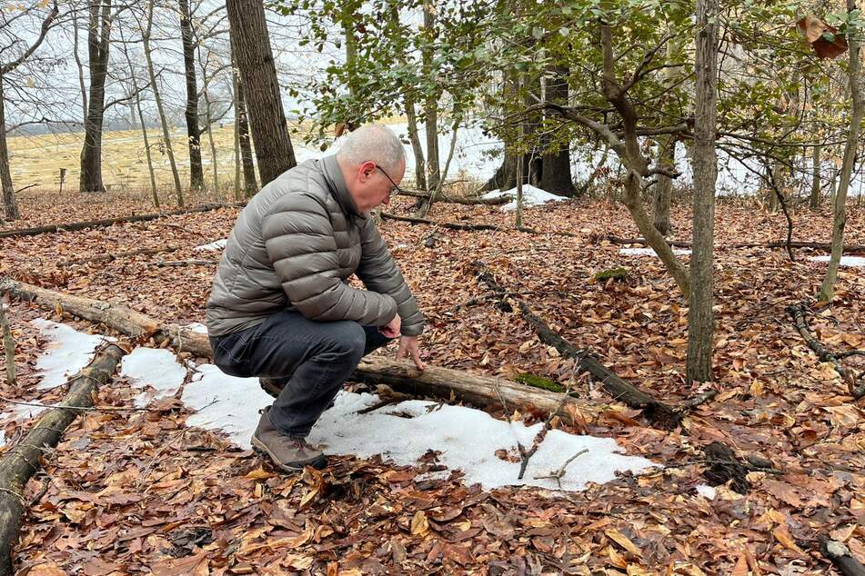 Marc Schindler, research professor at Georgetown University's Center for Youth Justice, inspects an area were hundreds of graves have been found on the grounds of the House of Reformation for Colored Children on February 17, 2026.