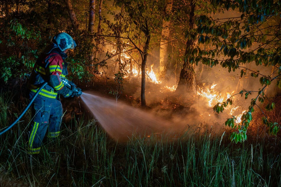 Gegen 23 Uhr geriet eine rund 200 Quadratmeter große Wald- und Wiesenfläche in Brand.