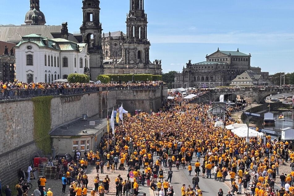 Schwarz-Gelb, so weit das Auge reicht.