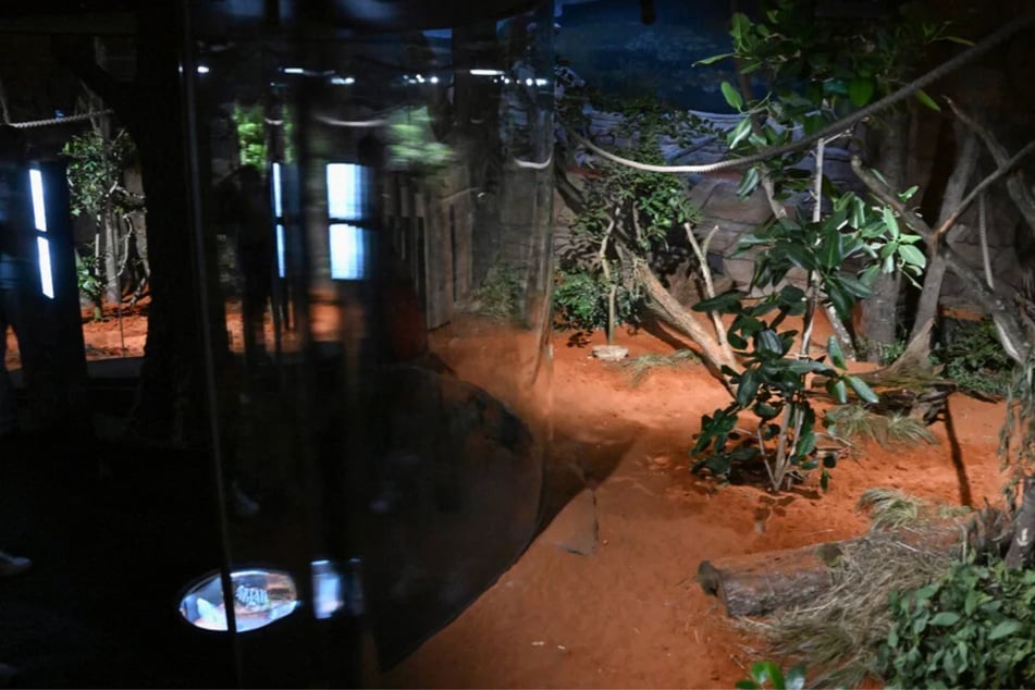 Kinder im Zoo attackiert? Gebäude der Wilhelma geschlossen