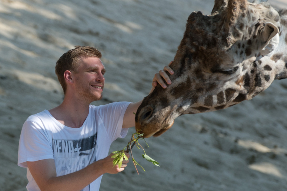 Pinguin, Giraffe und Co.: So übernehmt ihr eine Patenschaft!